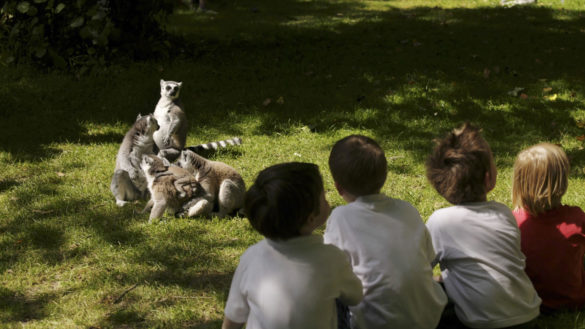 fota-island-kids-01