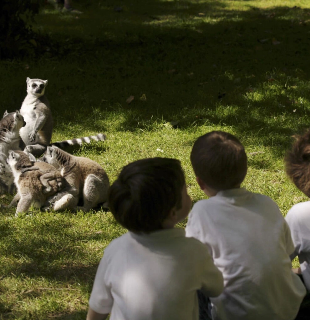 Fota Wildlife Park Hotels Near Fota Wildlife Park The Address Cork